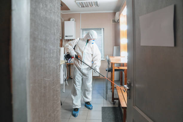 Reliable Fort Dick, CA Mold Removal Solutions