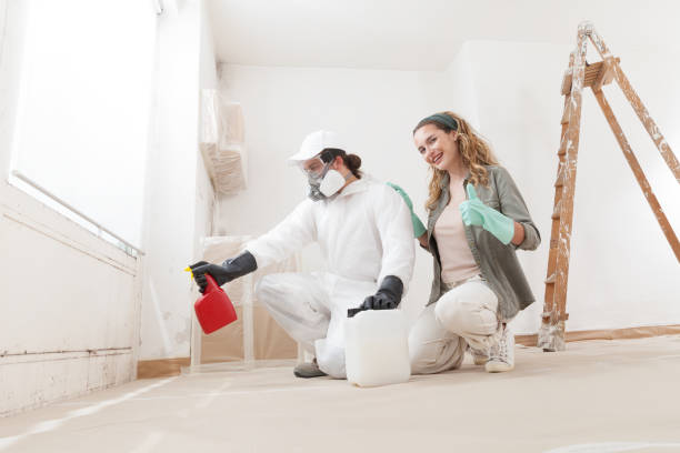 Best Mold Prevention Services  in Fort Dick, CA