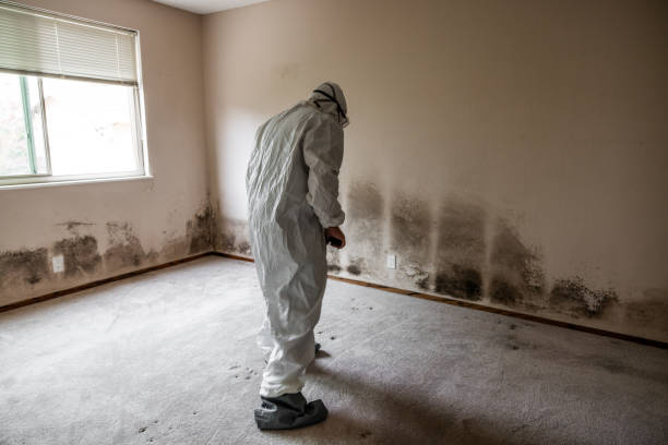 Best Commercial Mold Inspection  in Fort Dick, CA